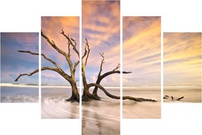 Tablou - Copacul în ocean (150x105 cm)