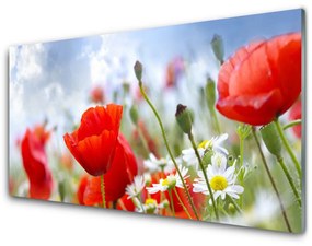 Tablouri acrilice Maci Margarete Floral Roșu Galben Alb