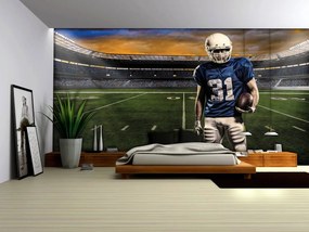 Fototapet - Rugby (152,5x104 cm)