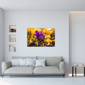 Tablou cu floare violetă (90x60 cm)