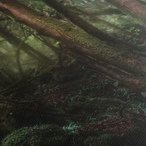 Tablou - Pădurea enigmatică (cu ceas) (90x30 cm)