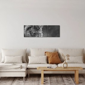 Tablou - Veveriță în timpul iernii (cu ceas) (90x30 cm)