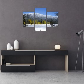 Tablou - munții înzăpeziți iarna (90x60 cm)