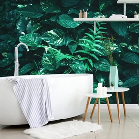 Fototapet frunze tropicale proaspete