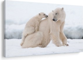Tablou - Urs polar (90x60 cm)