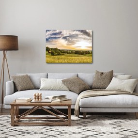 Tablou cu peisaj (70x50 cm)