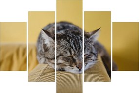 Tablou cu pisica pe fotoliu (150x105 cm)
