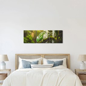 Tablou - cameleon (cu ceas) (90x30 cm)