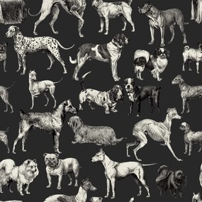 Fototapet, Dogs, Harlequin, Rebel Walls