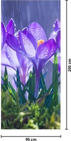 Fototapet pentru ușă - Flori în ploaie (95x205cm)