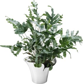 Ghiveci de flori din oțel inoxidabil BLOOM BOTANICA, 32,5 cm - Georg Jensen