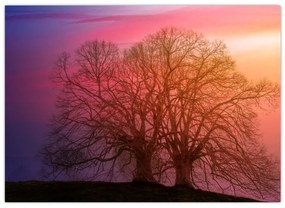 Tabloul pomilor în ceață (70x50 cm)