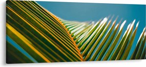 Tablou - Frunze de palmier (120x50 cm)