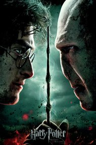 Poster de artă Harry Potter și Talismanele Morții[