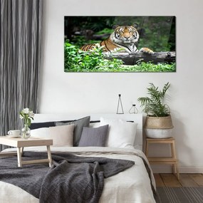 Tablou din sticla Forest Animal Cat Tiger