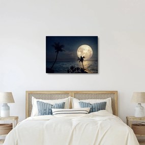 Tablou - Plajă cu lună plină (70x50 cm)