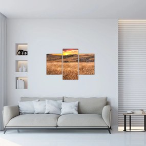 Tablou cu câmp (90x60 cm)