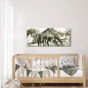 Tablou - Girafe, de epocă (120x50 cm)