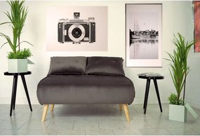 Canapea Extensibila 2 locuri Catifea Gri Lounge Premium Velvet