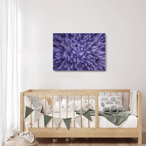 Tablou pe sticlă cu copacii înzăpeziți (70x50 cm)