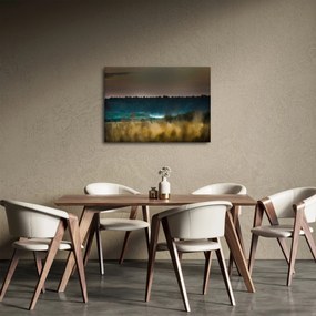 Tablou - Peisaj de munte (70x50 cm)