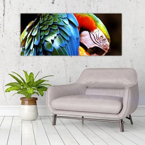 Tablou - Papagal (120x50 cm)