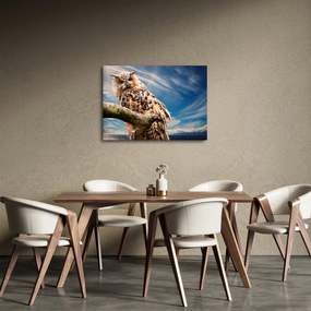 Tablou cu bufnița (70x50 cm)