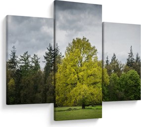 Tablou - Copac verde în câmp (90x60 cm)