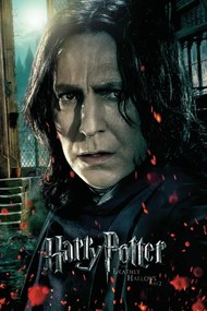 Poster de artă Harry Potter - Severus Snape