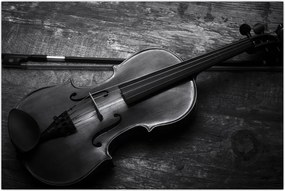 Tablou - Violete (90x60 cm)