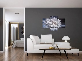 Tablou - Albă ca Zăpada Copac (90x60 cm)