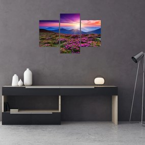 Tablou - Munte înflorit peisaj (90x60 cm)