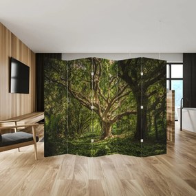 Paravan - Copaci (210x170 cm)