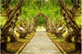 Tablou - Tunel viu din plumeria (90x60 cm)