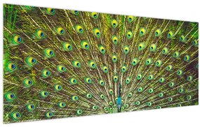 Tablou - Peacock (120x50 cm)