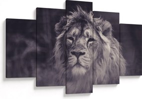 Tablou cu leu (150x105 cm)