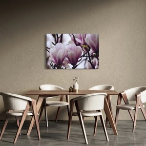Tablou - Magnolie (90x60 cm)