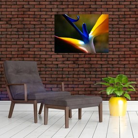 Tablou - Floare exotică (70x50 cm)