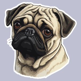 PIPPER. Autocolant Pug Dog mărimea: 60cm