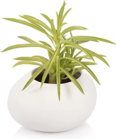 Tescoma Cutie pentru ghiveci mic FANCY HOMEStones, alb