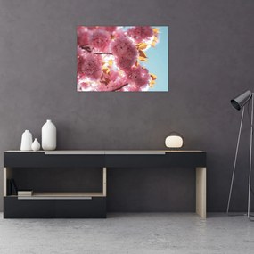 Tablou pe sticlă - Floare de cireș (70x50 cm)