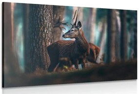 Tablou cerb în pădure de pini