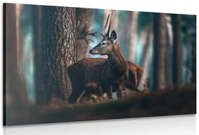 Tablou cerb în pădure de pini
