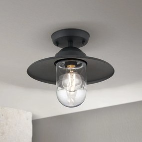 Plafoniera de exterior stil vintage IP44 EDWARD antracit