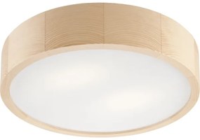 Plafonieră baie NATURAL 3xE27/15W/230V IP54 pin Ø 37 cm