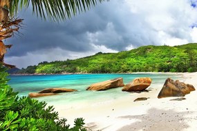 Fototapet Seychelles tropicale