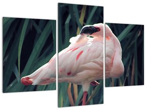 Tablou - Pasărea Flamengo (90x60 cm)