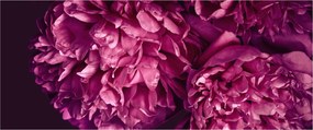 Tablou - Floarea bujorului (120x50 cm)