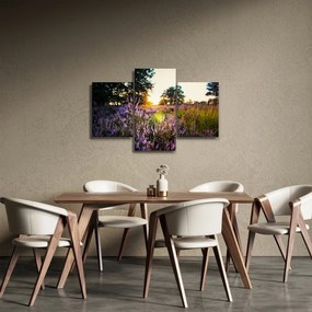 Tablou - Câmp cu lavandă (90x60 cm)