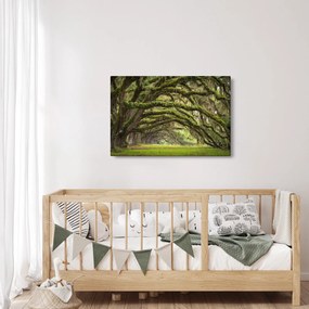 Tablou - Oaks Avenue, Charleston, Carolina de Sud, SUA (90x60 cm)